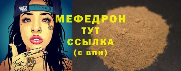индика Киреевск