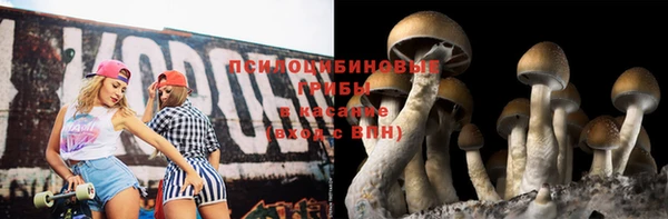 дурь Богданович