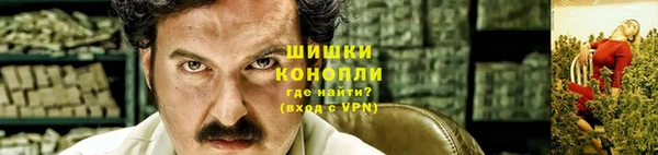 шишки Горно-Алтайск