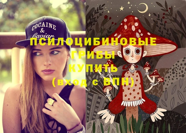 соль курить ск Богородск