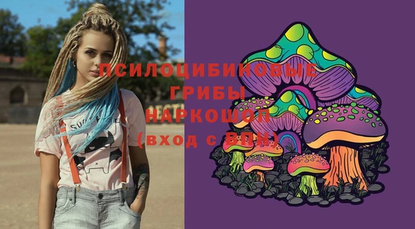 соль курить ск Богородск