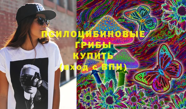 соль курить ск Богородск