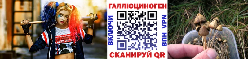 нарко площадка наркотические препараты  Макаров  Галлюциногенные грибы MAGIC MUSHROOMS 
